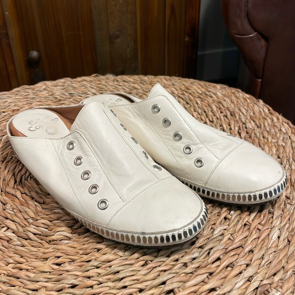 Calleen Cordero Terra Slides